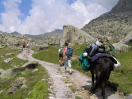 Přímořské Alpy - Parc National du Mercantour